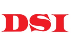 dsi.jpg